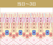 施術当日〜3日