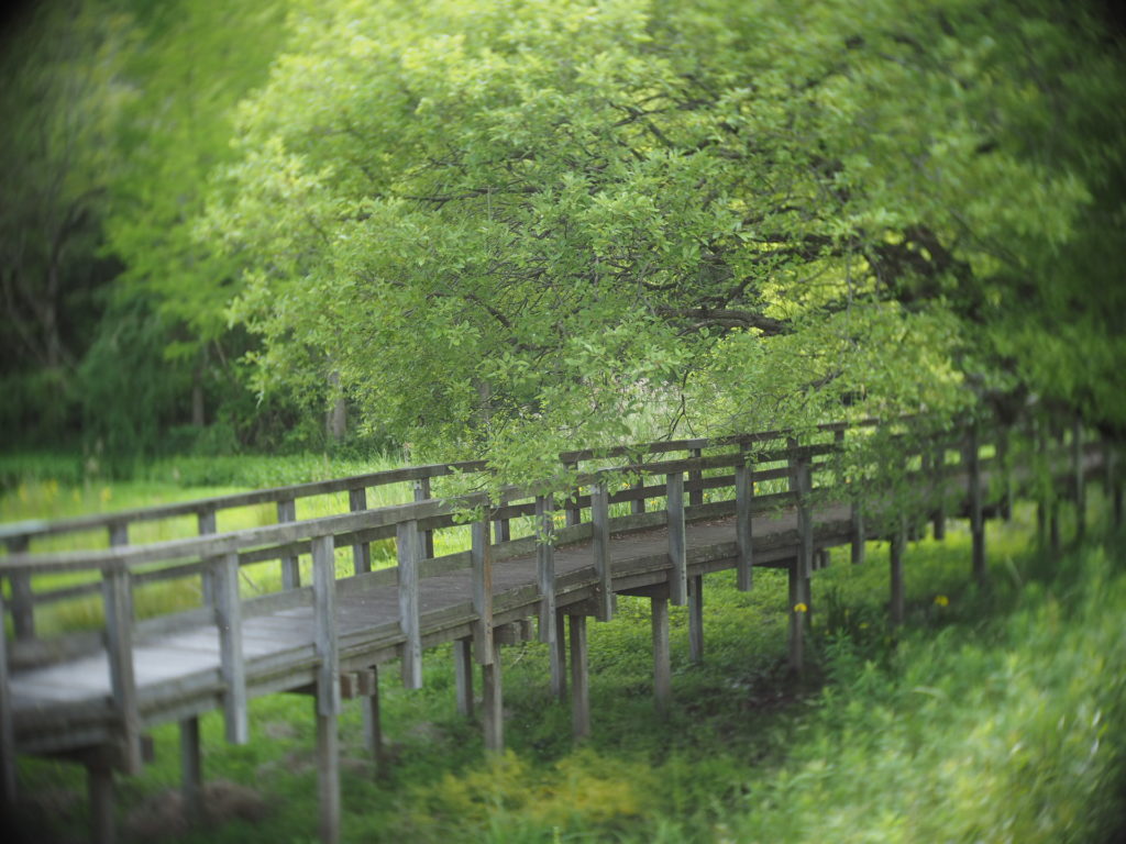 新ホームページと新ブログのお知らせ