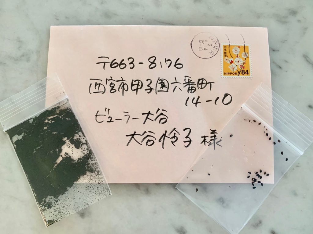 バクチャーで庭の土壌改良をしてホーリーバジルを植えるぞ!