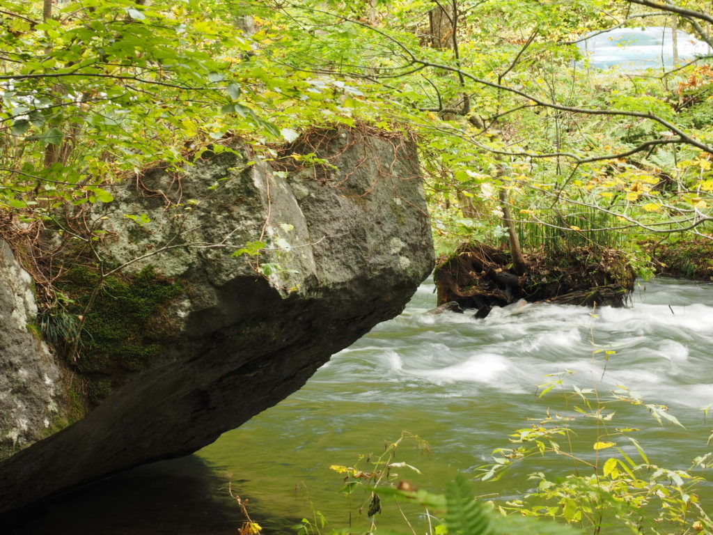 東北へきています１＿十和田湖と奥入瀬渓流