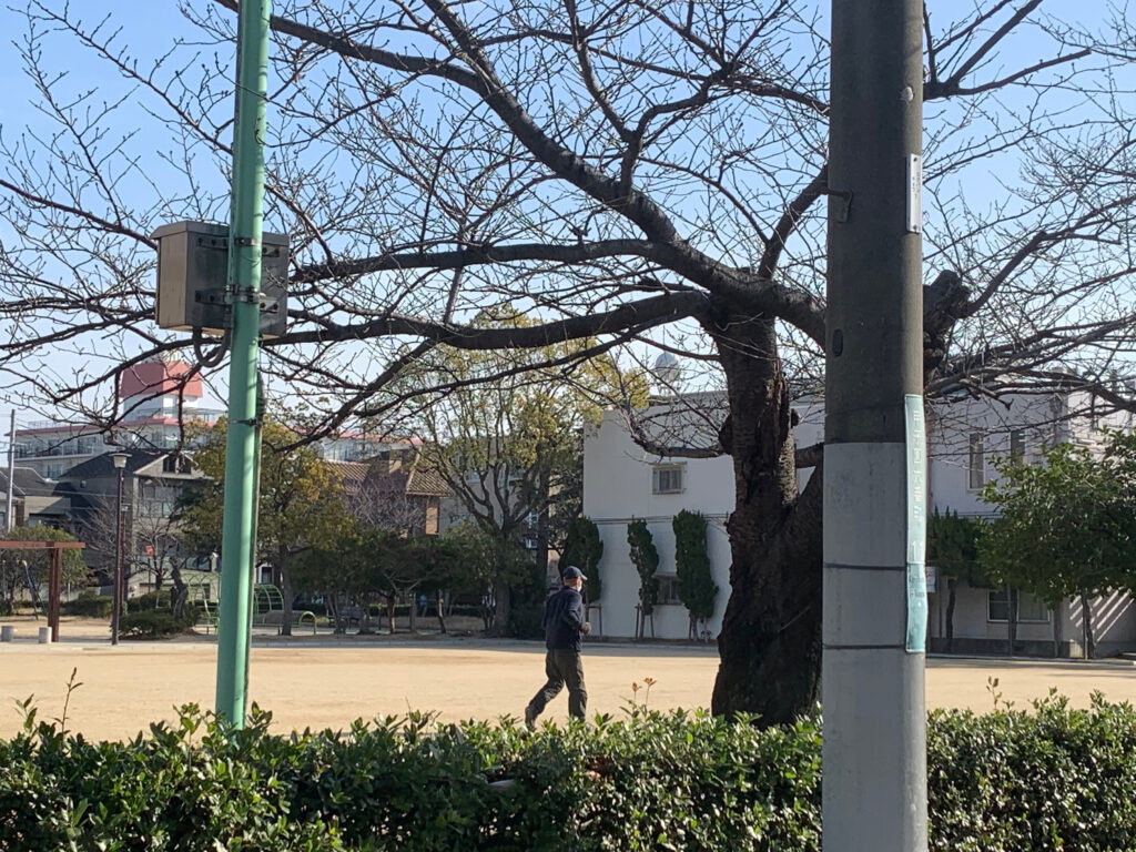 コロナに負けず太陽の下で免疫力をアップしましょう！