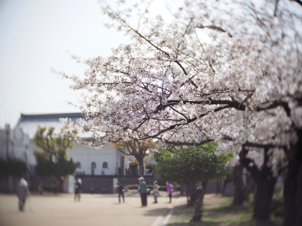 温かくなってきたので、コロナを怖がらずお外に出てお花見しましょう!