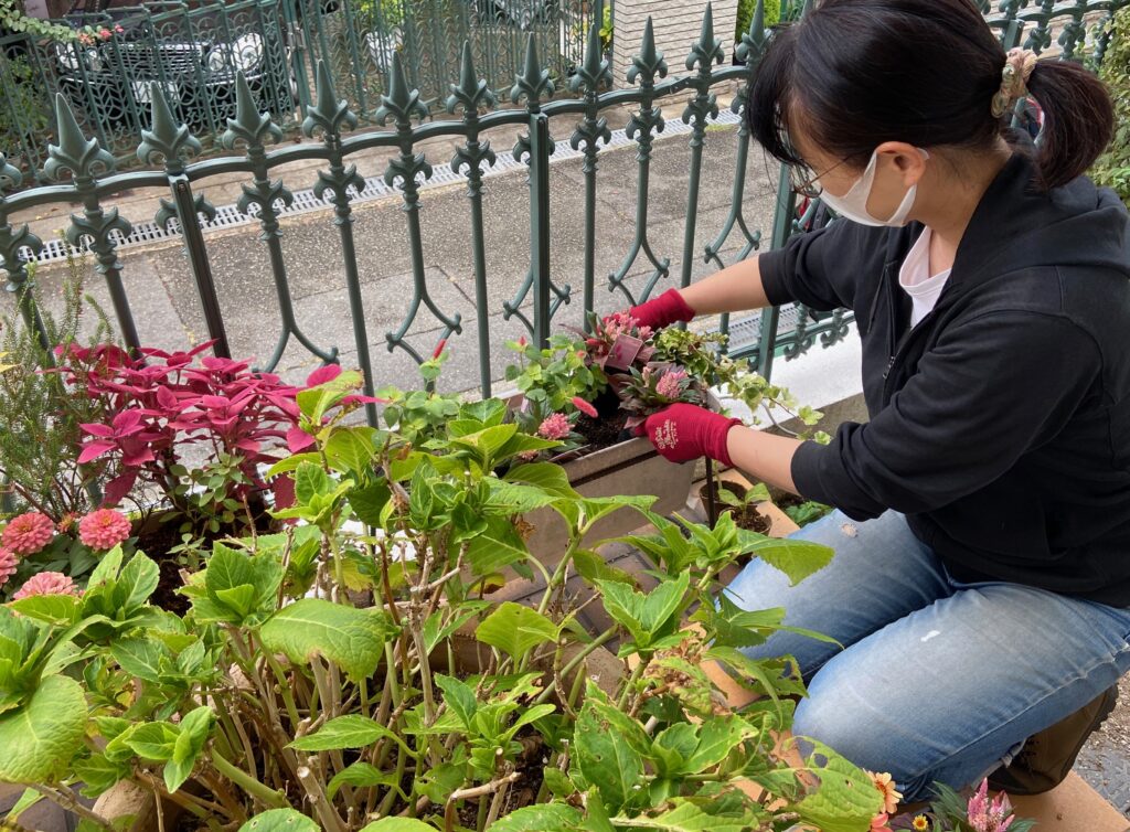 エントランスのお花を入れ替えてもらう♡プランテプランテさん!
