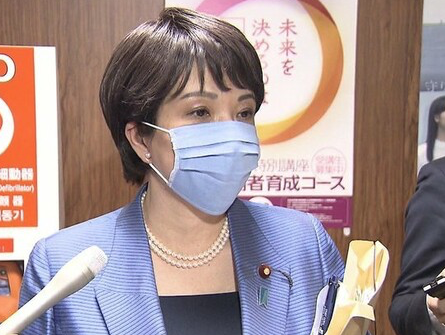 自民党総裁選と衆議院選が楽しみで仕方がない件