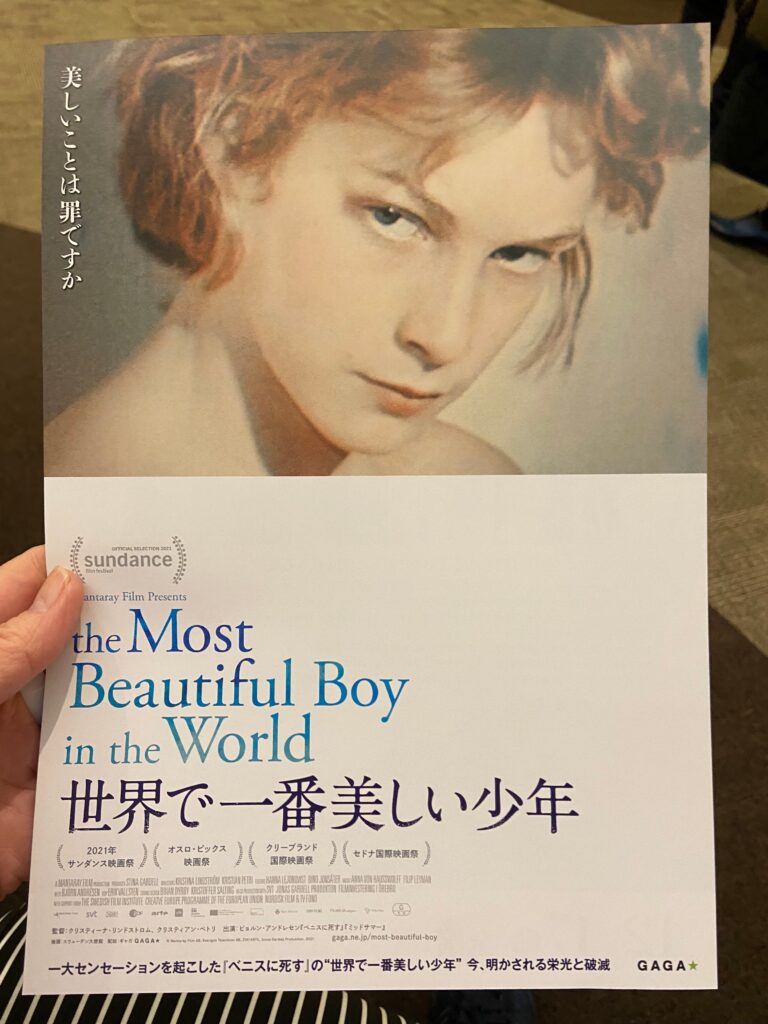 「世界で一番美しい少年」を観た（年末に）