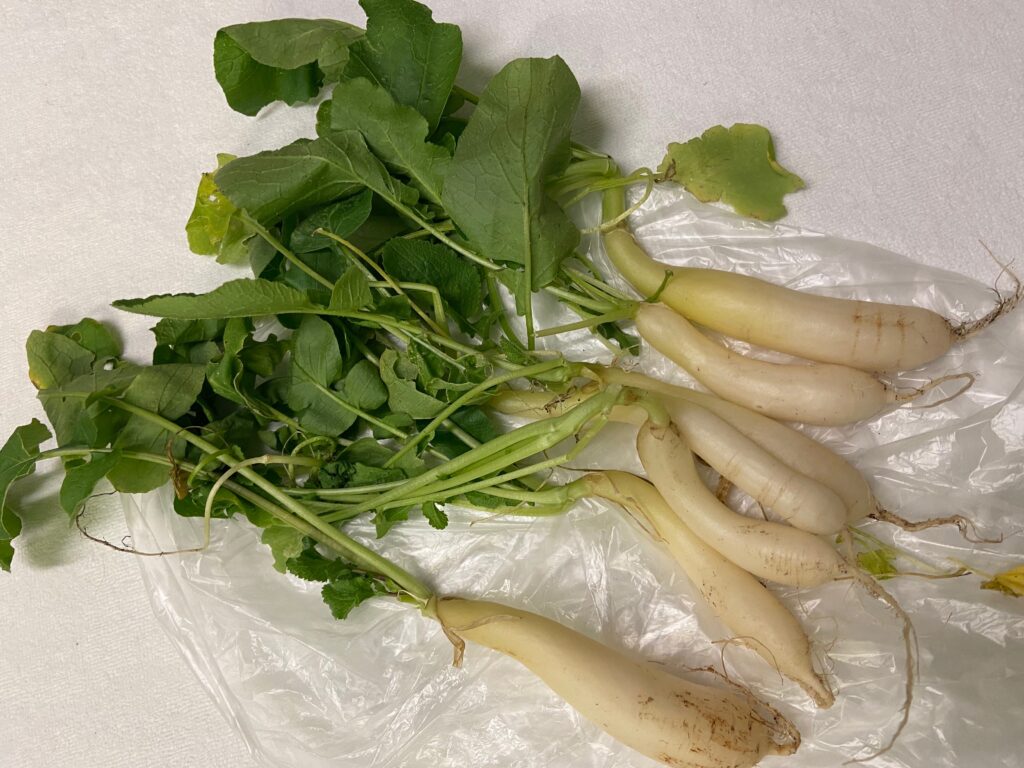 本年の営業が終了いたしました