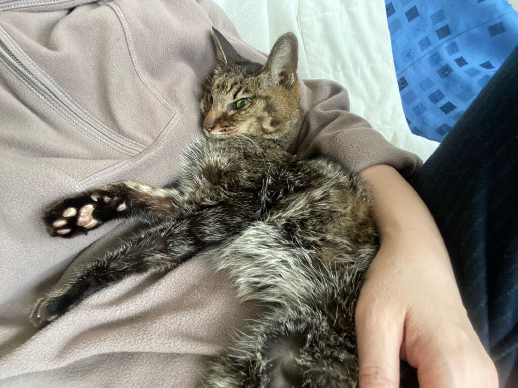 ミミちゃんとのお別れが済みました