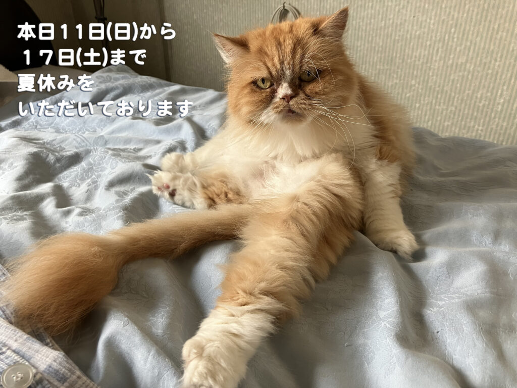 １１日(日)から１７日(土)まで夏季休業です