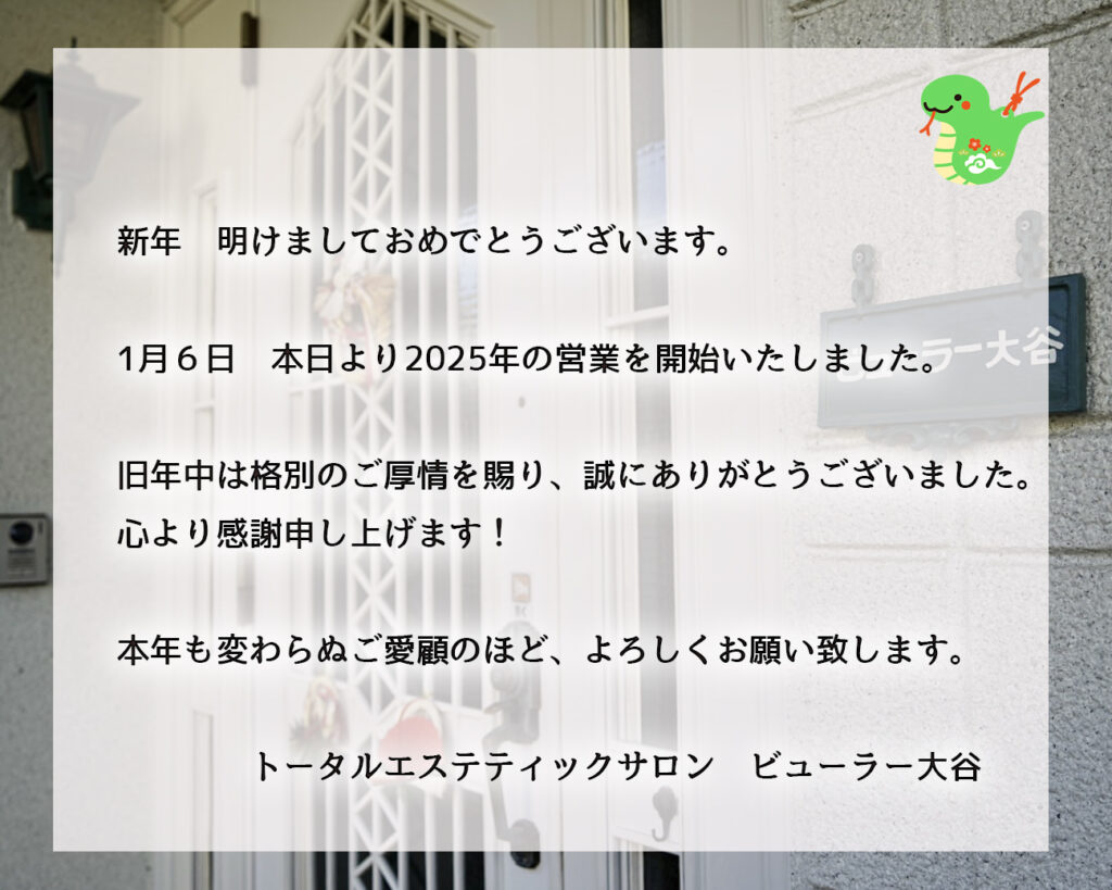新年あけましておめでとうございます!__肌質体質改善エステ_ビューラー大谷