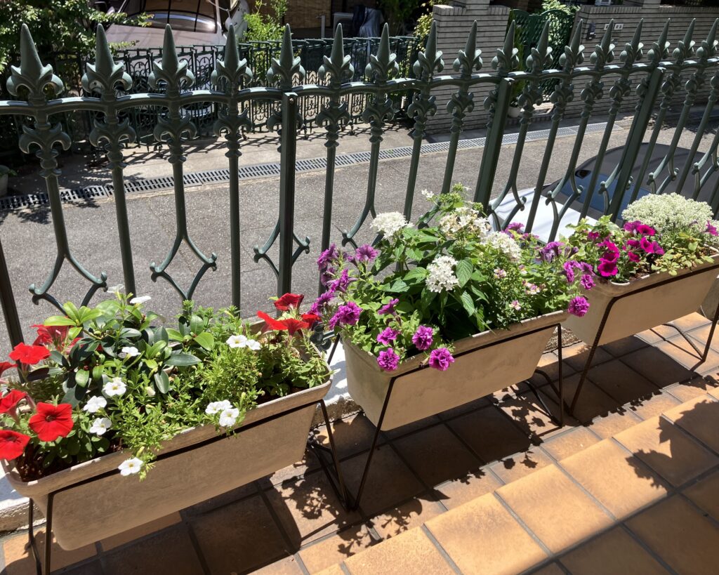 夏のにおい！！