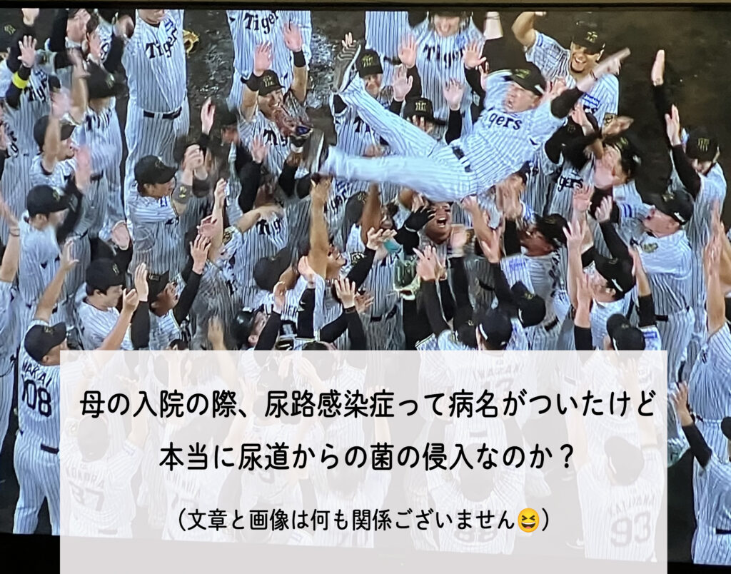 尿路感染症って病名がついたけど、本当に尿道からの菌の侵入なのか?___肌質体質改善エステ_ビューラー大谷